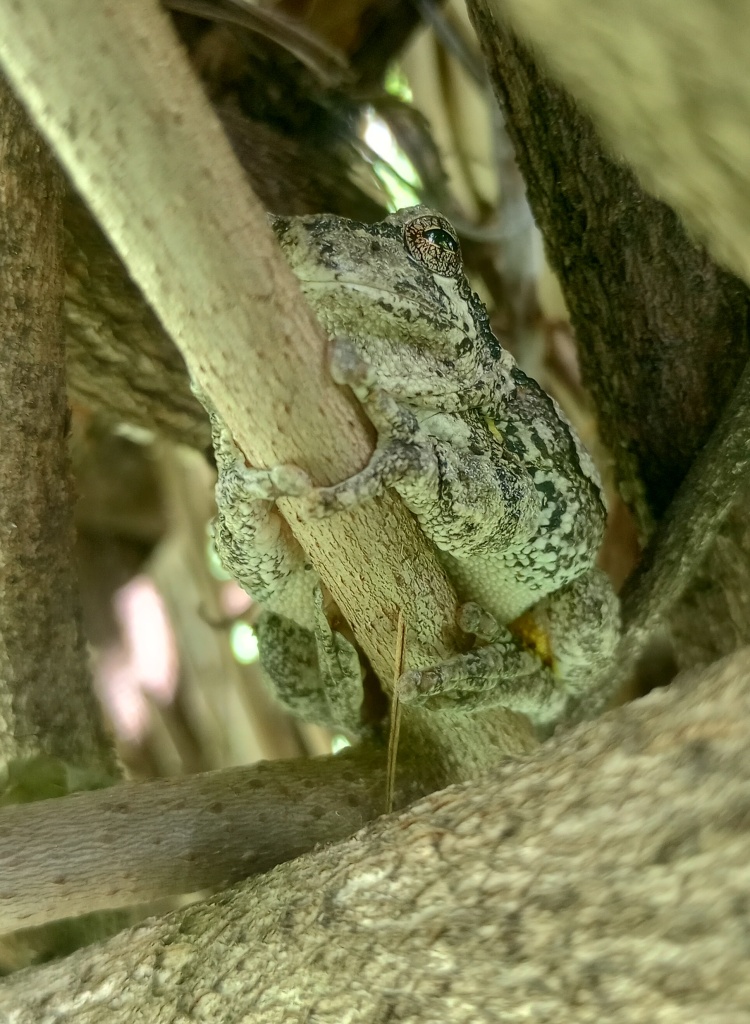 This image has an empty alt attribute; its file name is professorclumbedup.jpg