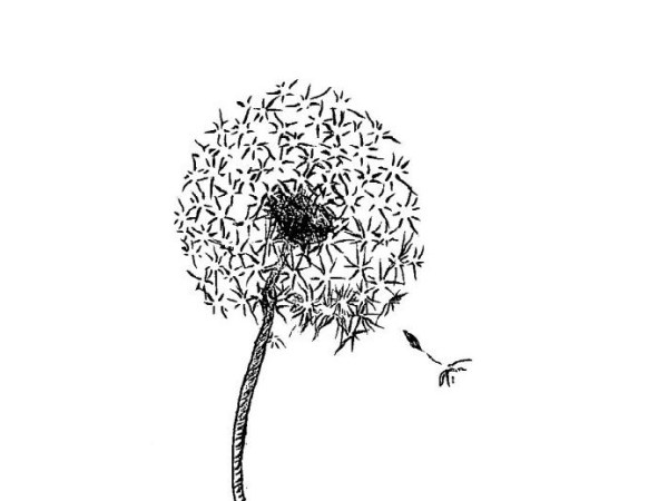 New Courage To Move Audiobook&nbsp;Upload!