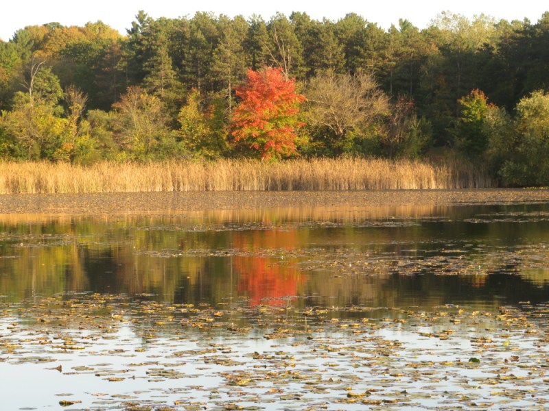 Time For A&nbsp;Turn