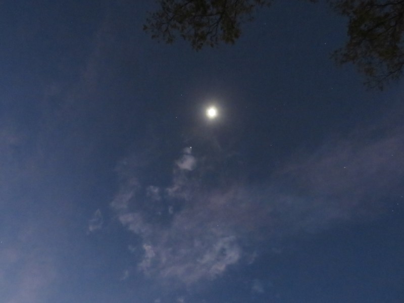 And So It&nbsp;Begins