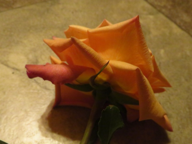 Caught In The Act:&nbsp;Submission