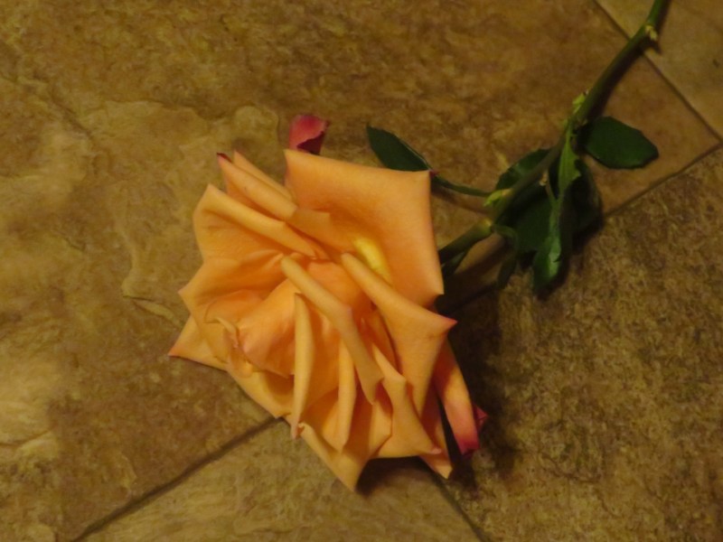 Caught In The Act: An Inappropriate&nbsp;Ask