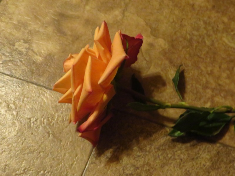 Caught In The Act: The Ultimate&nbsp;Judge