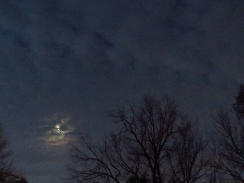 Late Winter Moon