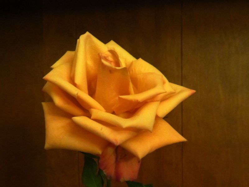 Caught In The Act:&nbsp;Mercy